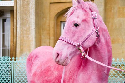 pink+horse