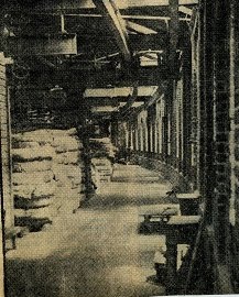 Interior Royal Victoria station