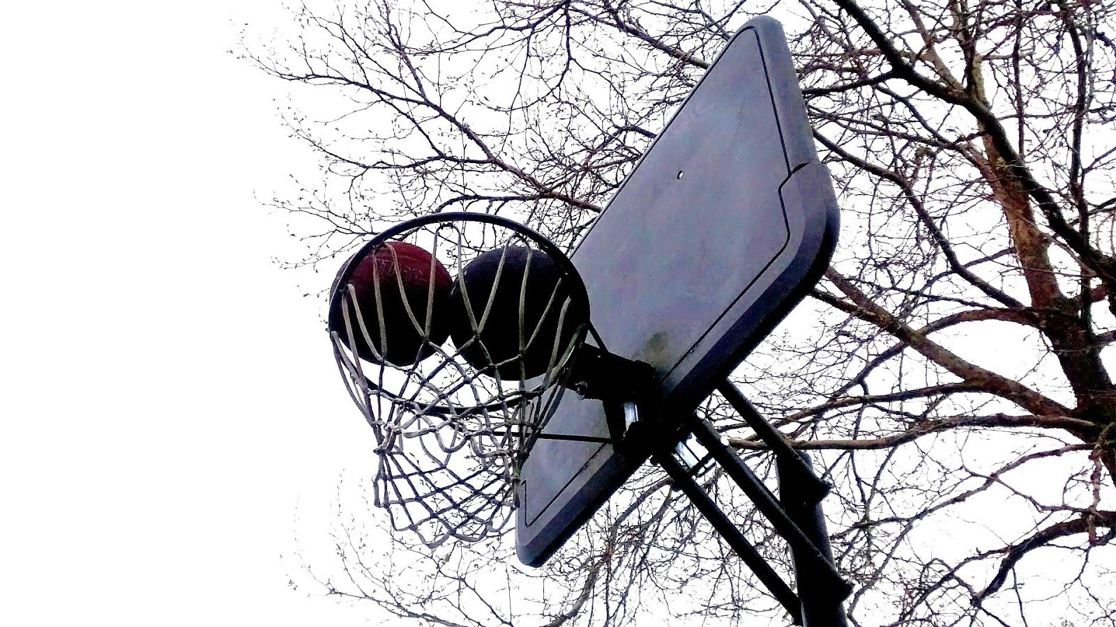 197879 Boston College basketball point shaving scandal Basketball