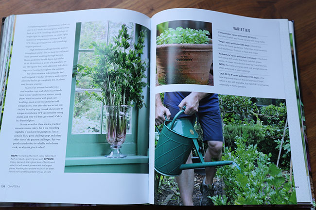 Sneak Peek - My first gardening book is published - Pre-orders are welcome! Sneak Peek - My first gardening book is published - Pre-orders are welcome!