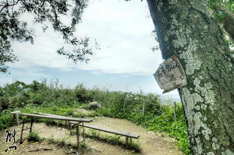 鳥瞰桃園盆地景點|五十份山登山步道