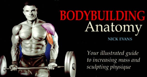 Bodybuilding Anatomy Nick Evans Pdf Bodybuilding Anatomy Nick Evans Pdf