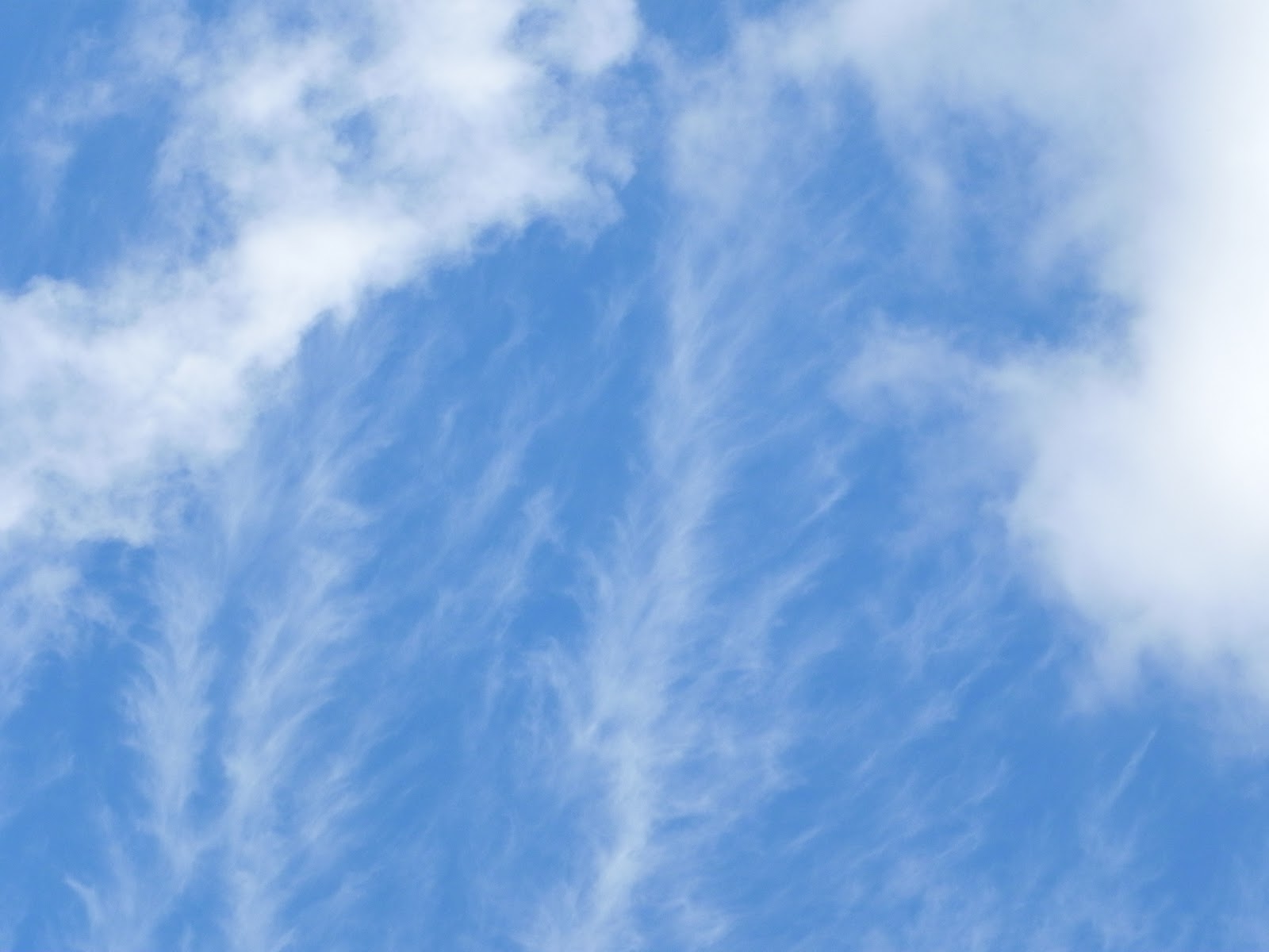 Postcard Memories From Paulie Feather clouds.