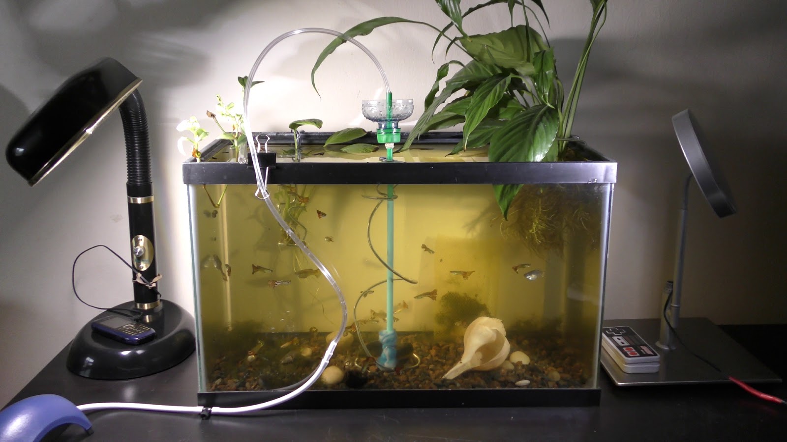 Random Bits DIY Aquarium Sponge Filter