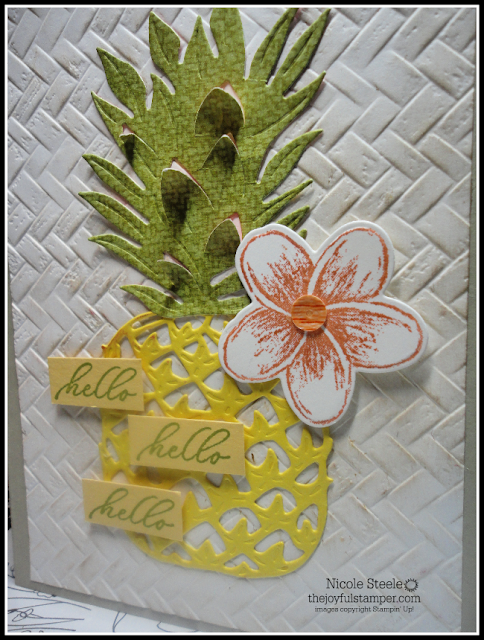 Hello, Pineapple card cased from Sale-A-Bration catalog with Tropical Oasis suite Hello, Pineapple card cased from Sale-A-Bration catalog with Tropical Oasis suite
