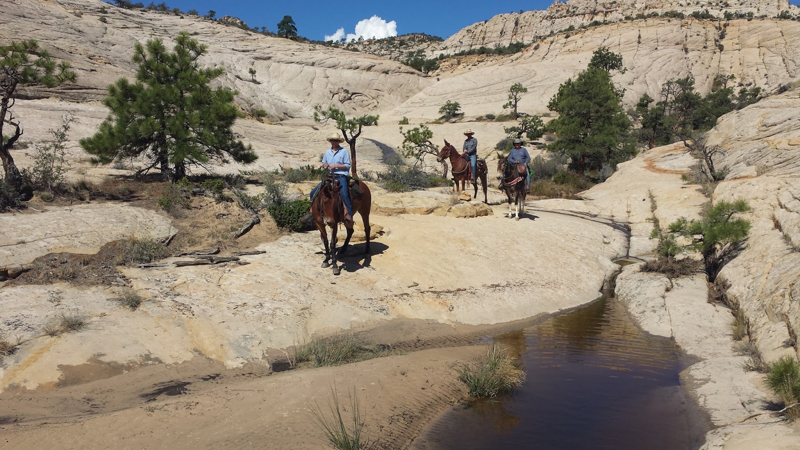 Mules and More Magazine The Boulder Mail Trail