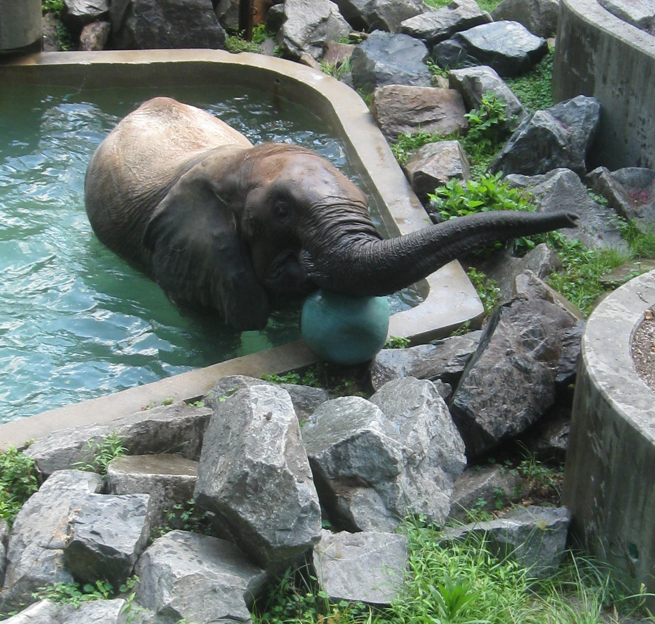 randuwa Zoo of Maryland in Baltimore 9