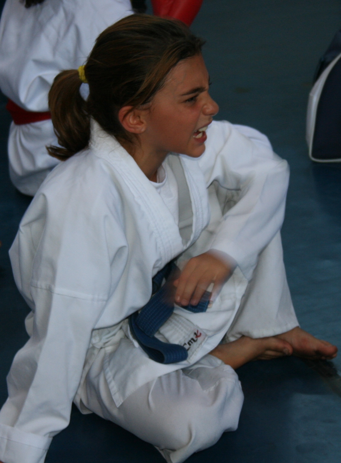 Karate Cia Do Corpo Fotos