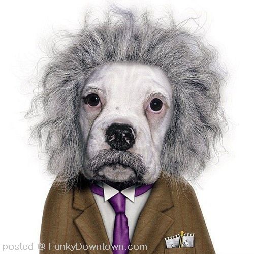 September 2011 Funny And Cute Animals