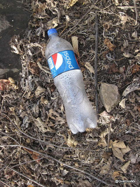 pepsi Cola olvidada en el cerro