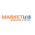 20 Job Opportunities at Market Lab Company