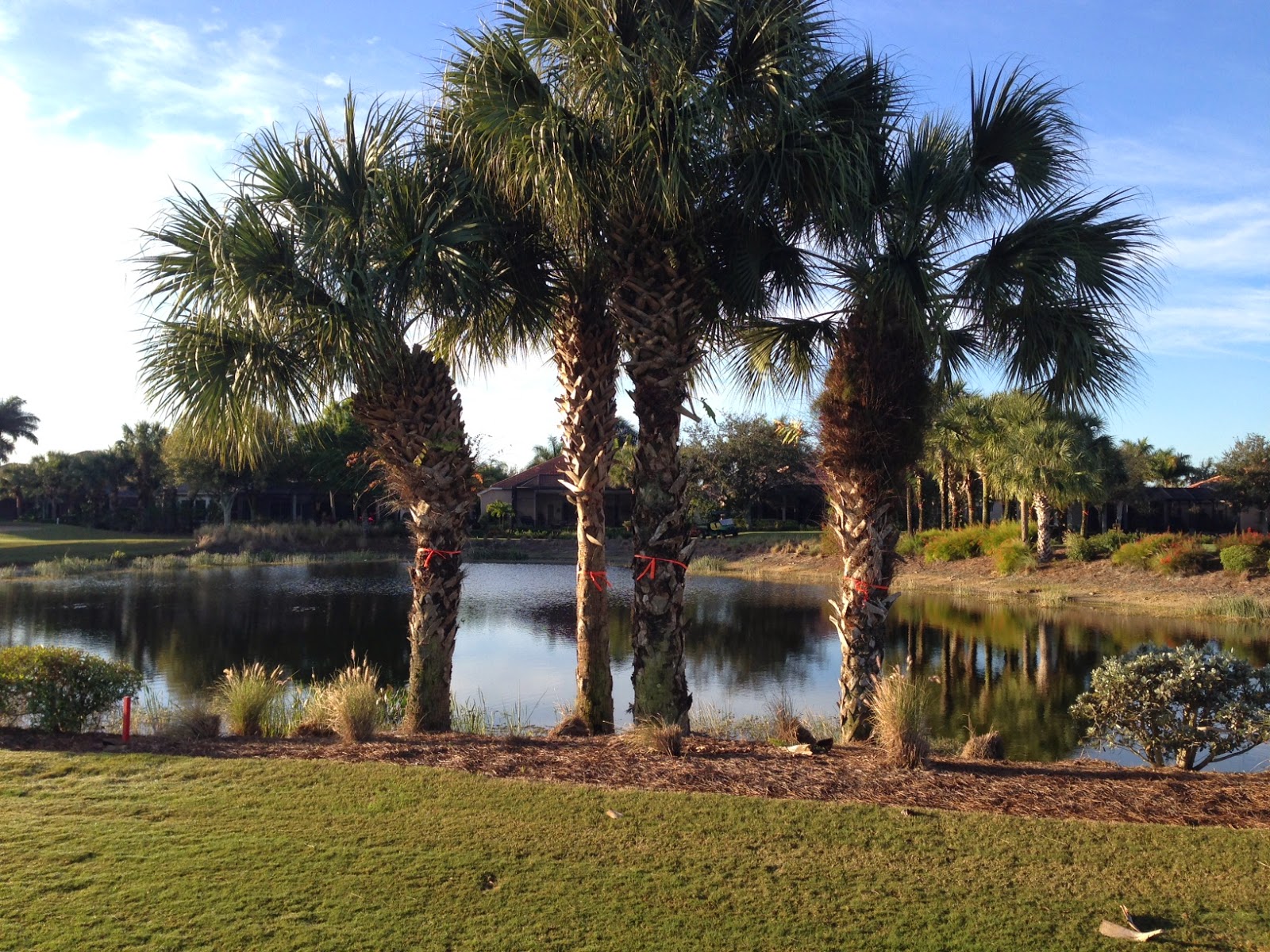Copperleaf Golf Course Maintenance: Golf Course Renovation Update
