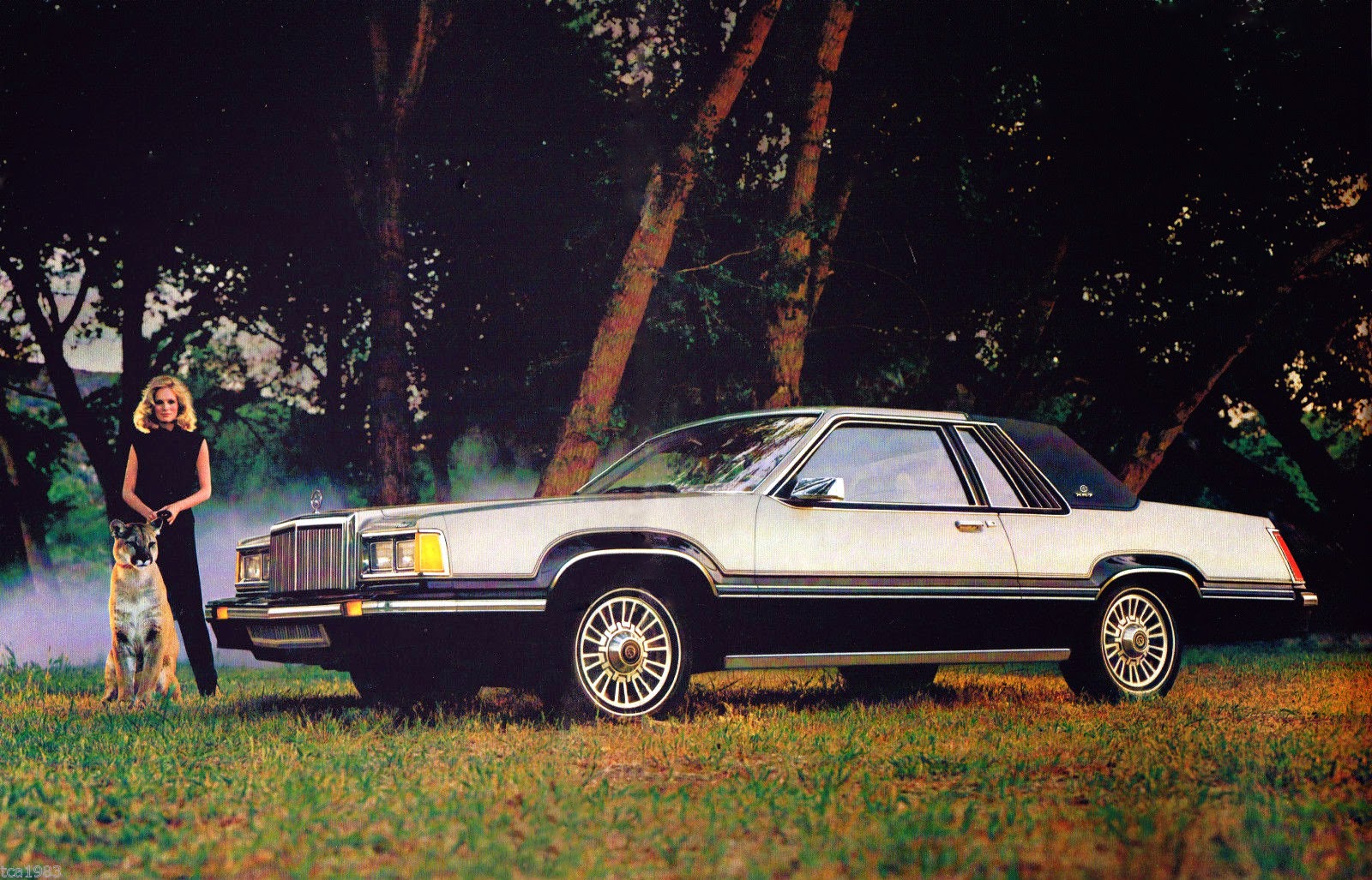 transpress nz: 1980 Mercury Cougar XR-7