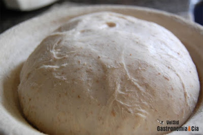 lleute, massa, masa madre,pa, pan, levadura lleute, massa, masa madre,pa, pan, levadura