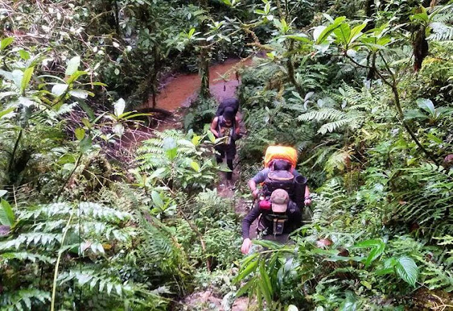 jalur pendakian gunung binaiya foto jalur pendakian gunung binaiya