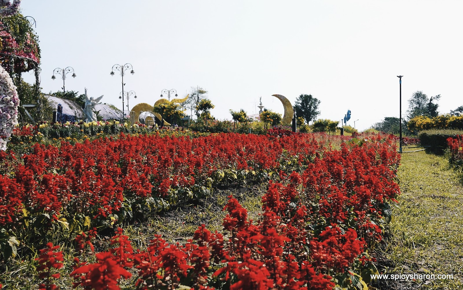 The Bloom Khao Yai Thailand
