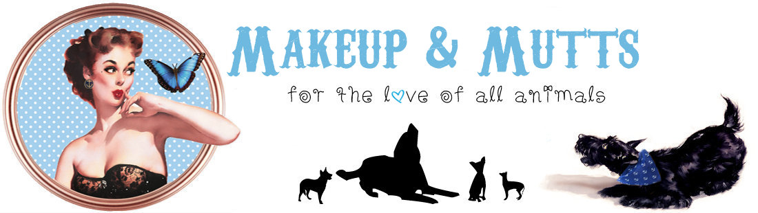 Makeup & Mutts