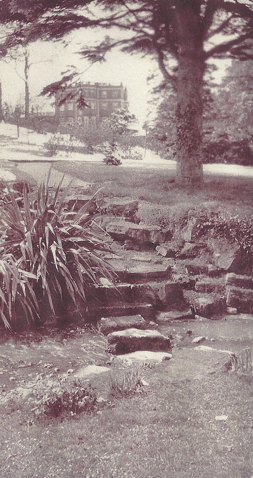 Lord Belmont in Northern Ireland Belvoir House 1914