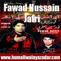 http://ishqehaider.blogspot.com/2013/11/fawad-hussain-jafri-nohay-2014.html