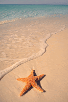 Perdido Key FL Condo For Sale at the Meridian Perdido Key FL Condo For Sale at the Meridian