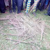Over 500 APC members Burn their Brooms as they defect to PDP in Akwa Ibom [photos]