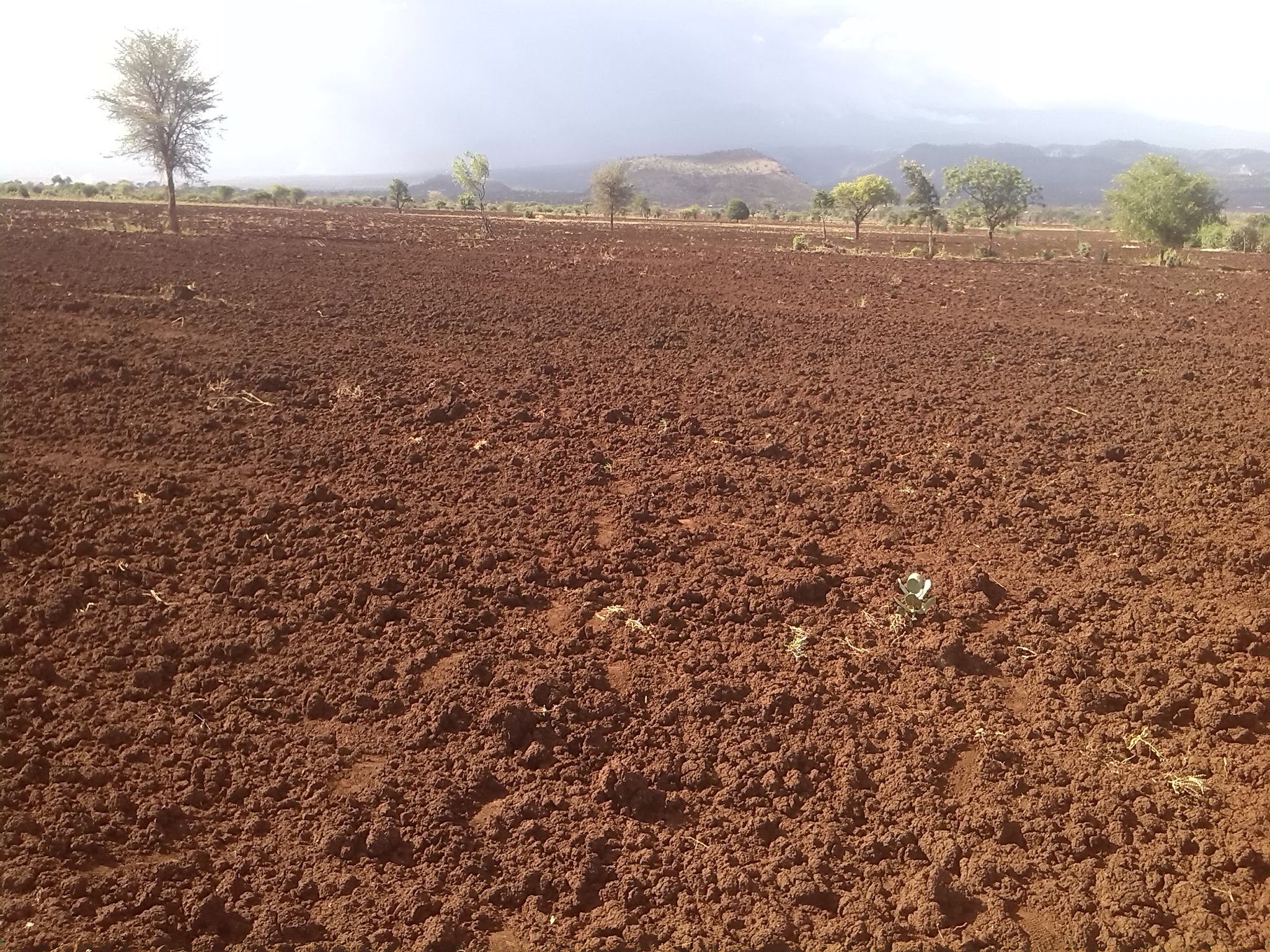 https://www.kilimobiashara.org/