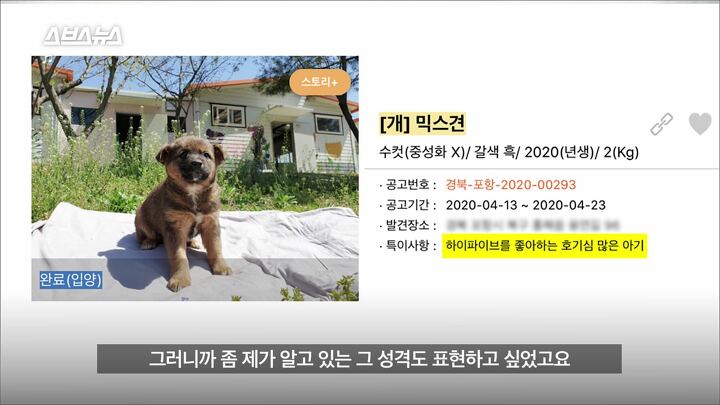 이미지에 대체텍스트 속성이 없습니다; 파일명은 %25EB%258B%25A4%25EC%259A%25B4%25EB%25A1%259C%25EB%2593%259C%2B%25288%2529.jpg 입니다.