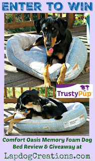 trusypup dog bed review & giveaway