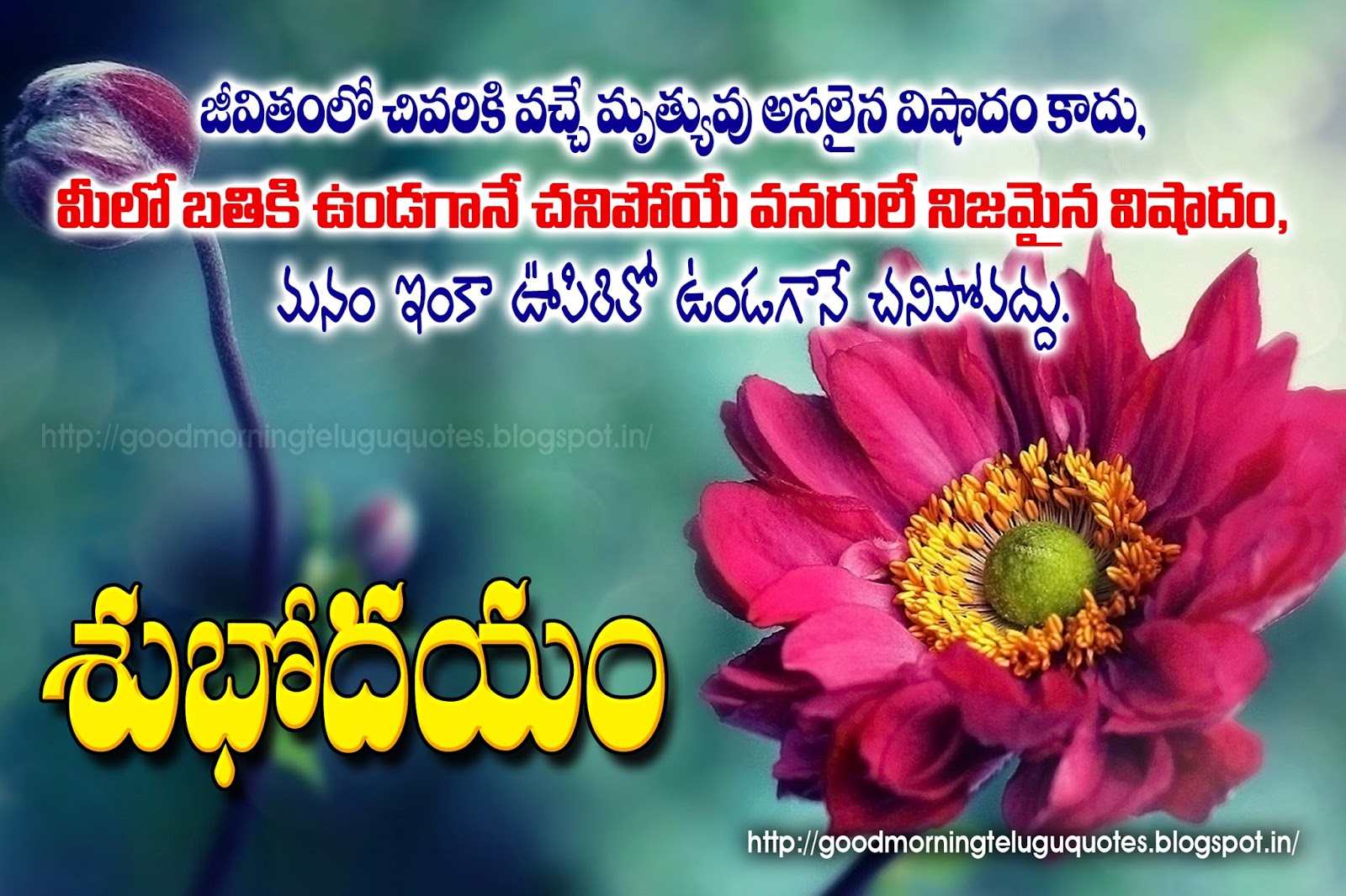 inspiring telugu good morning quotes wishes walllpapers