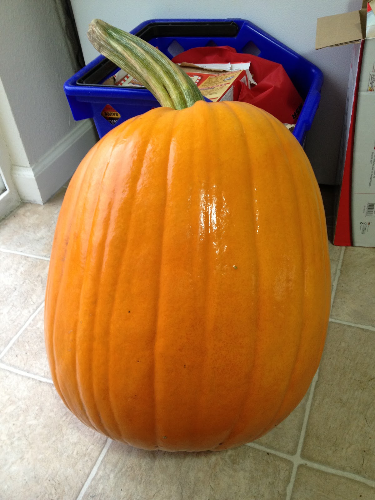 What To Do With Pumpkin Guts How To Dry Pumpkin Seeds How To Roast