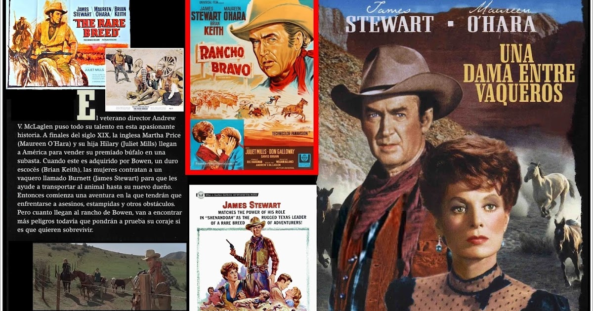 UNA ENTRE VAQUEROS - EL DEL CARTEL