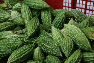 Rahsia Peria Katak Untuk Pesakit Kencing Manis