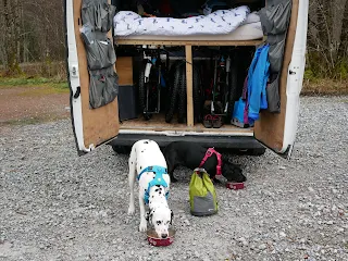 two dogs eating dinner outside van conversion with dog food bag