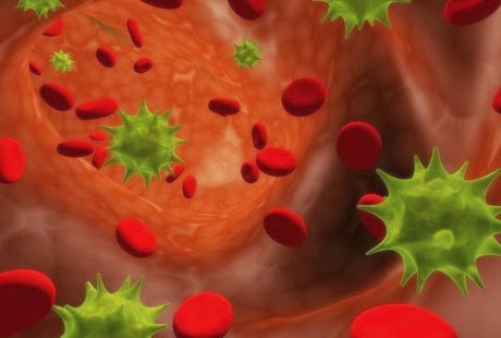 Menu Makanan Untuk Penderita Leukimia