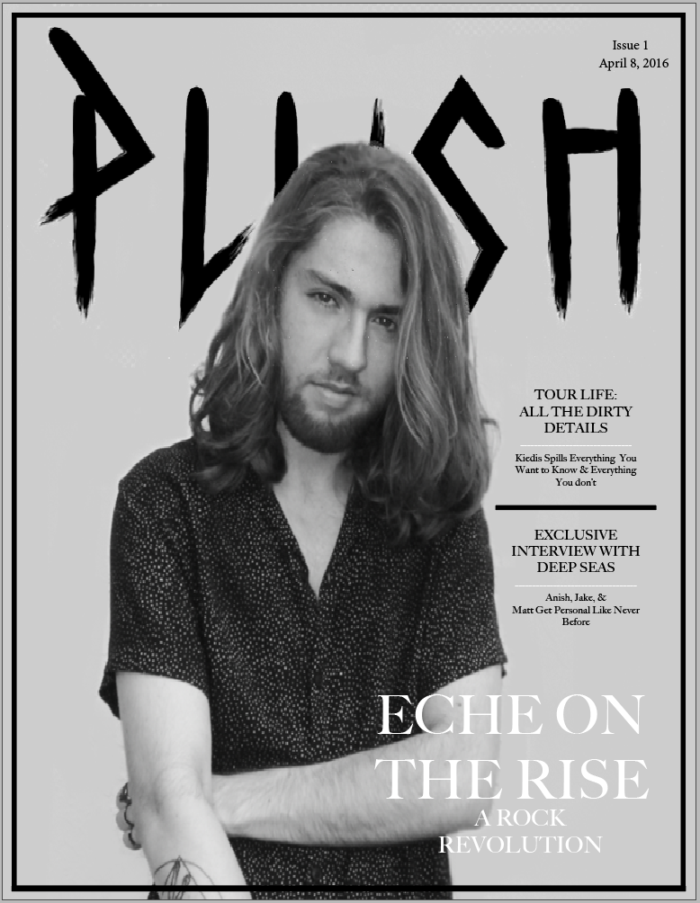 Hanna's blog FINAL PROJECT PLUSH MAGAZINE