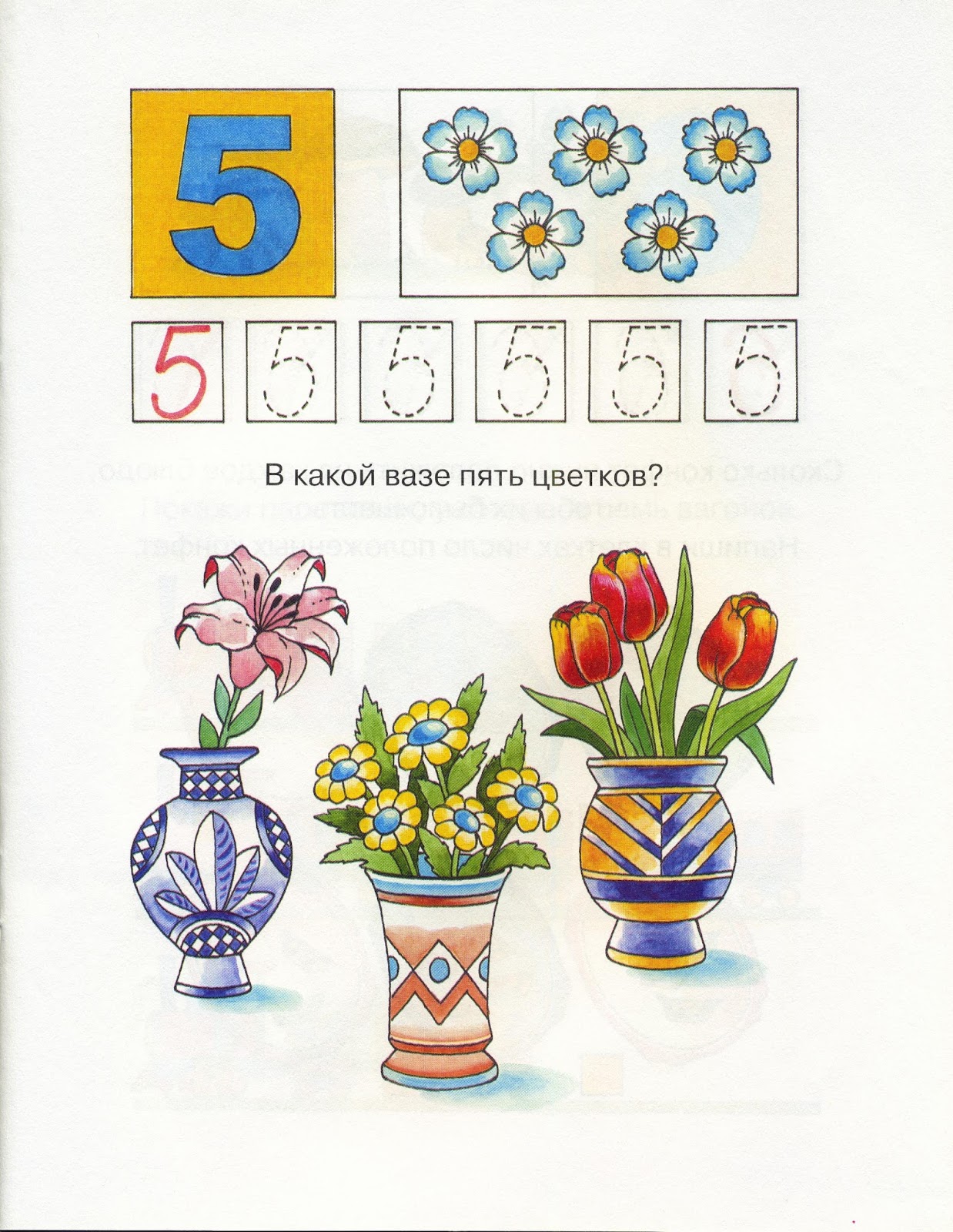 Число и цифра 5. Число и цифра 5 задания для дошкольников. Число 5 задания для дошкольников. Число и цифра 5 для дошкольников. Цифра 5 задания для детей.