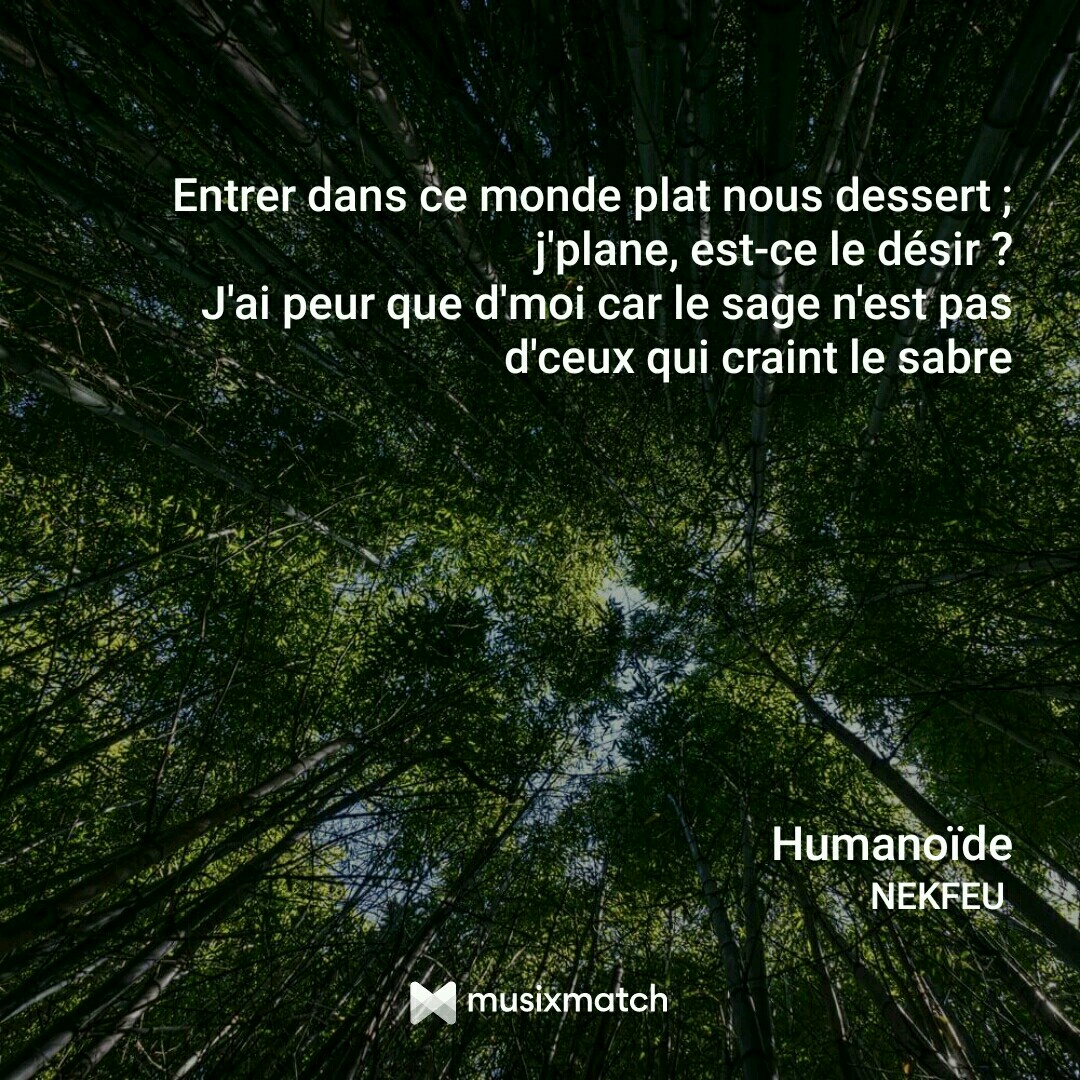 Chen Gai France ) citation nekfeu