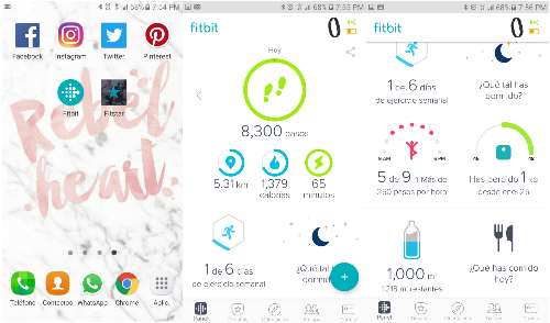 Monitor de actividad Fitbit Flex 2