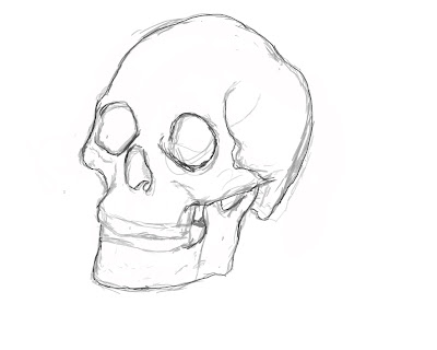 Drawing All Over Again: Skull WIP 1