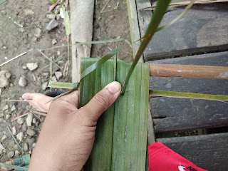 Daun rumbia di ikat dengan tali bamban Daun rumbia di ikat dengan tali bamban