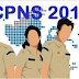 Pemkab Jayapura Buka 639 Formasi CPNS, Pendaftaran Mulai April 2019