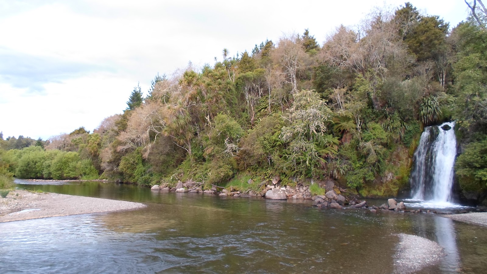 NEUSEELAND te urewera national park