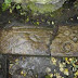 A 12th Century-Old Carved Stone Uncovered In Temple