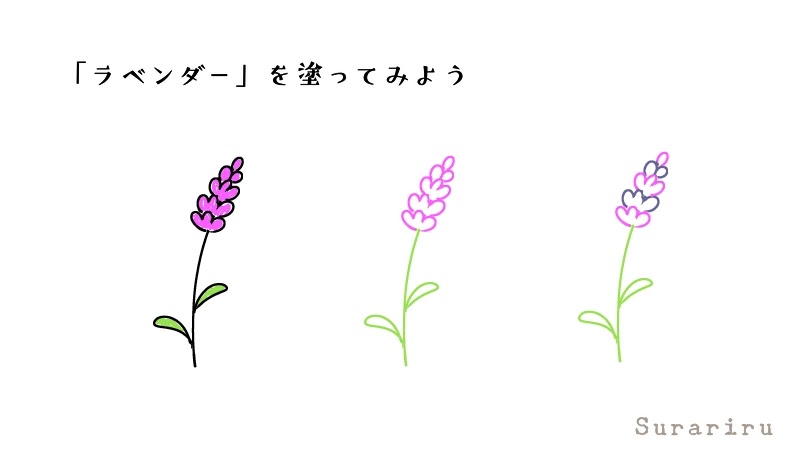 簡単なラベンダーの花のイラストの描き方 簡単かわいいボールペンイラストと水彩 遠北ほのかのsurariru