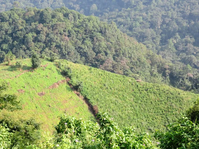 Uganda Gorilla Tracking: Rolling hills leading to Bwindi Impenetrable Forest in Uganda