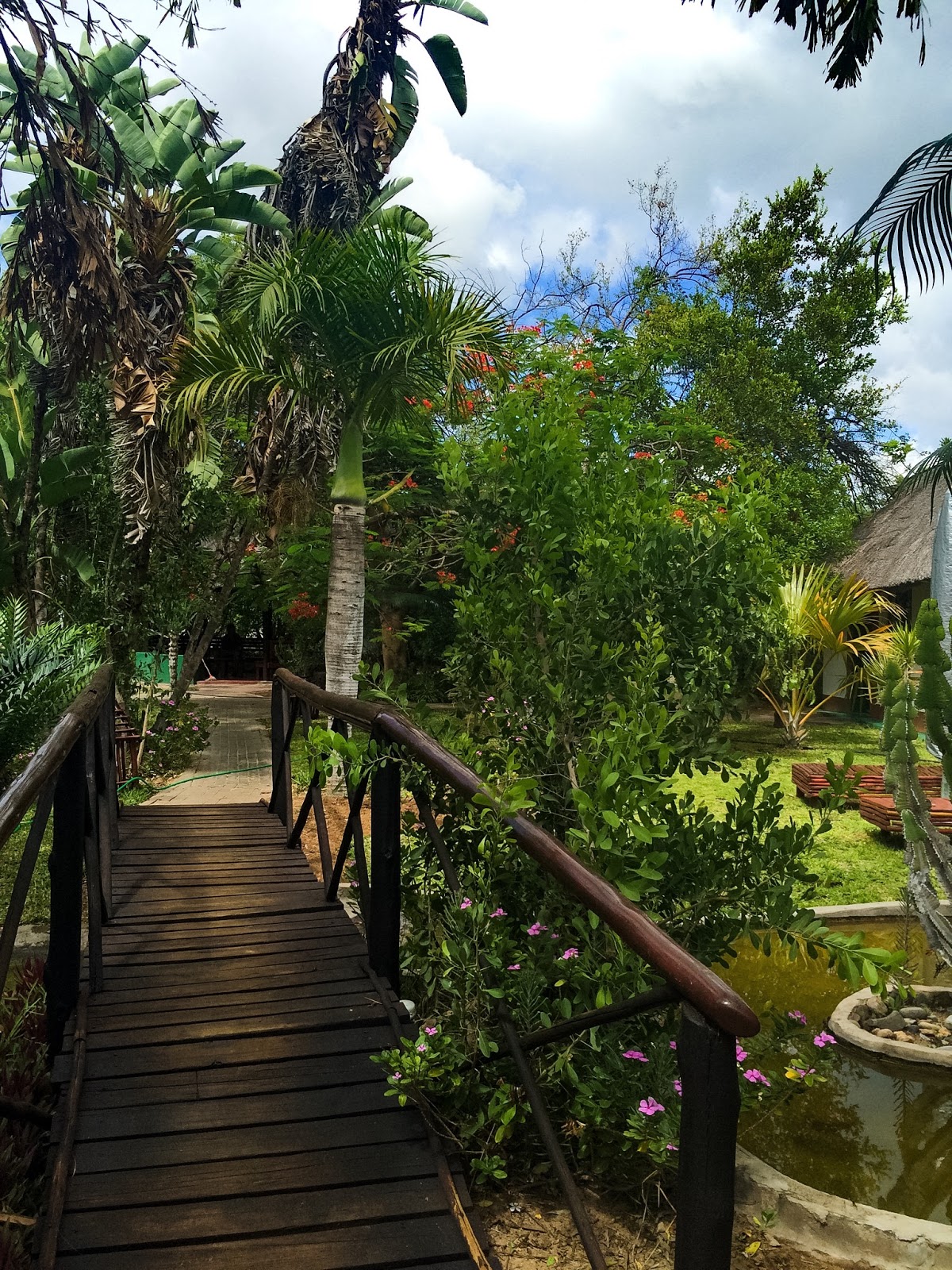 marcs treehouse camp