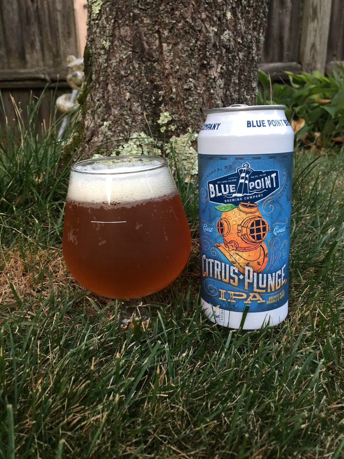 Craft Beer In The Wild Blue Point Brewing Company Citrus Plunge IPA 6.5