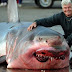 Pescador captura tubarão monstro pesando impressionantes 3 toneladas em lago americano!