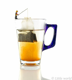 little-world-the-big-fun-of-photography-with-small-things-28__880