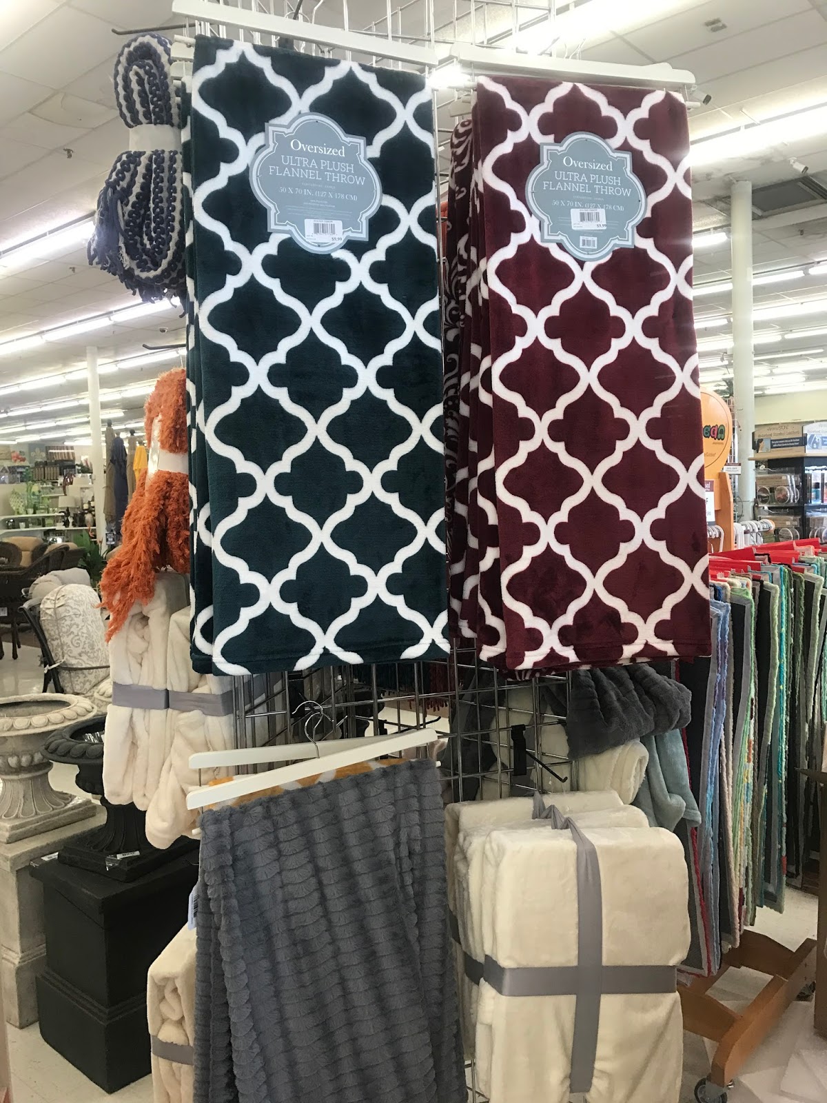 Trees n Trends A Visit to Trees n Trends Awakens Your Senses